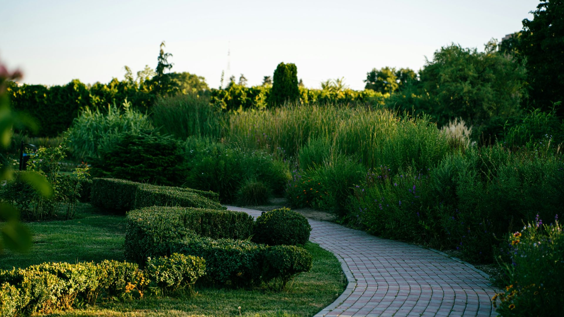 A curved brick path winding through a lush garden with manicured hedges